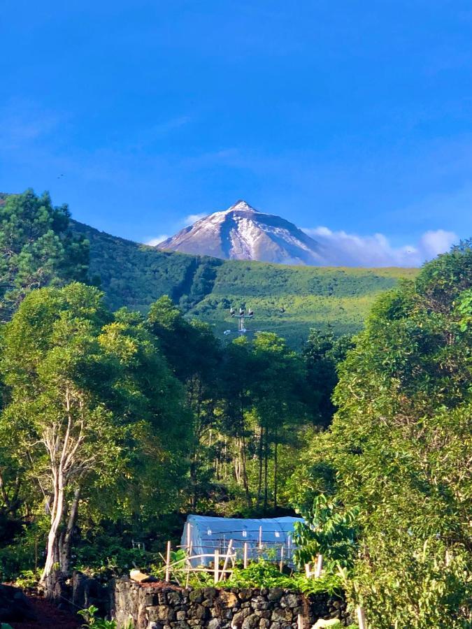 Quinta Pereirinha Farm - A Private 3 Bedroom Vacation Home, Close To Hiking W Ocean Views - Pico Island, Azores São Roque do Pico Dış mekan fotoğraf