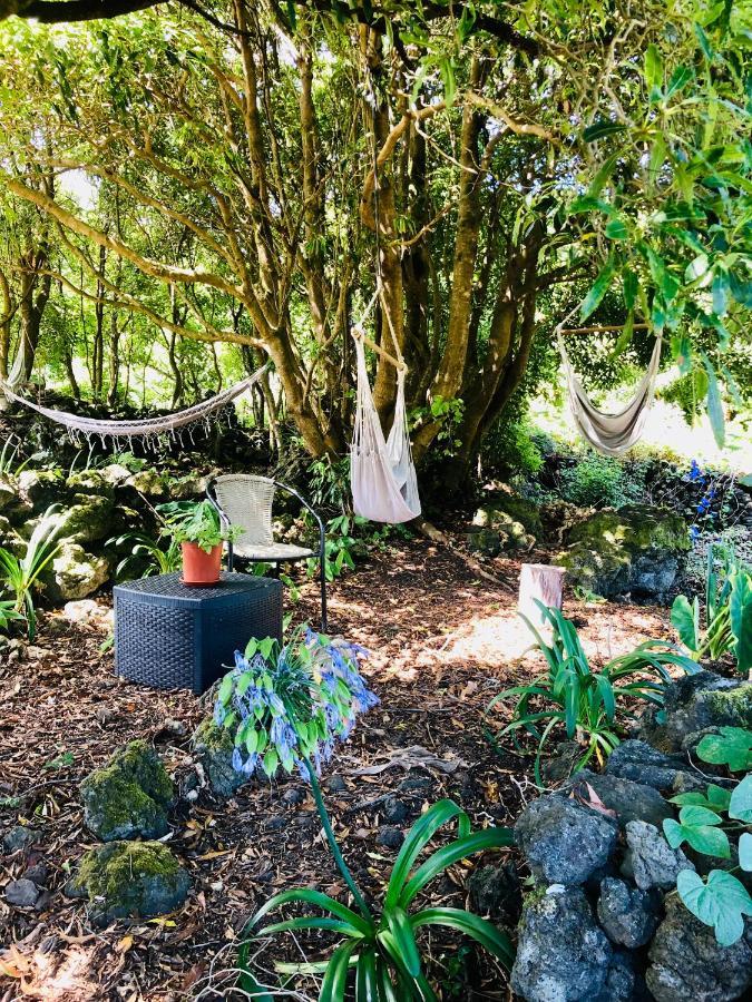 Quinta Pereirinha Farm - A Private 3 Bedroom Vacation Home, Close To Hiking W Ocean Views - Pico Island, Azores São Roque do Pico Dış mekan fotoğraf