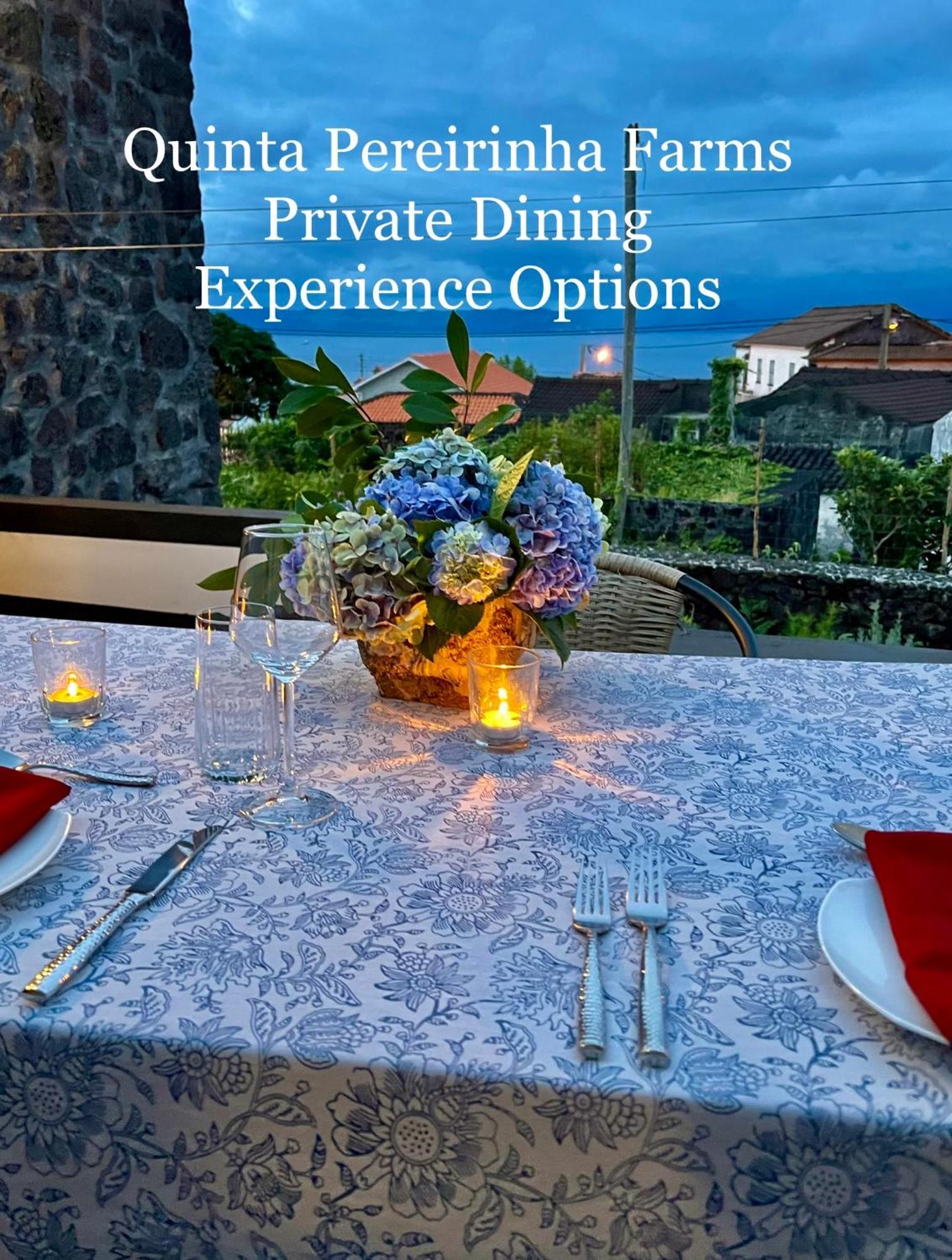 Quinta Pereirinha Farm - A Private 3 Bedroom Vacation Home, Close To Hiking W Ocean Views - Pico Island, Azores São Roque do Pico Dış mekan fotoğraf